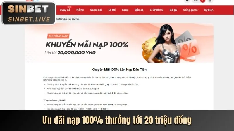 Hỗ trợ khách hàng 24/7 của 888vnd